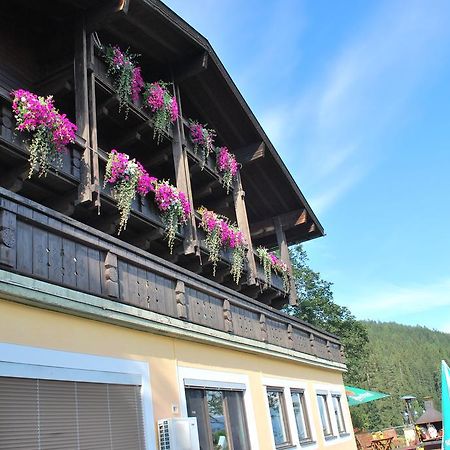 Pension Savisalo Ramsau am Dachstein Exterior photo